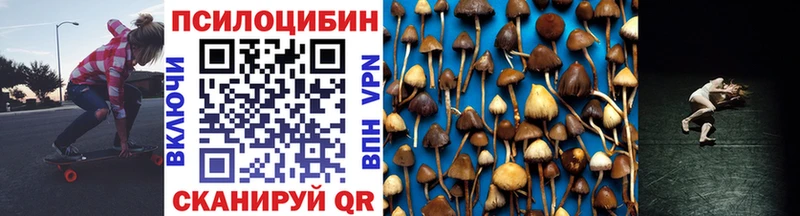 Псилоцибиновые грибы Psilocybe Темников